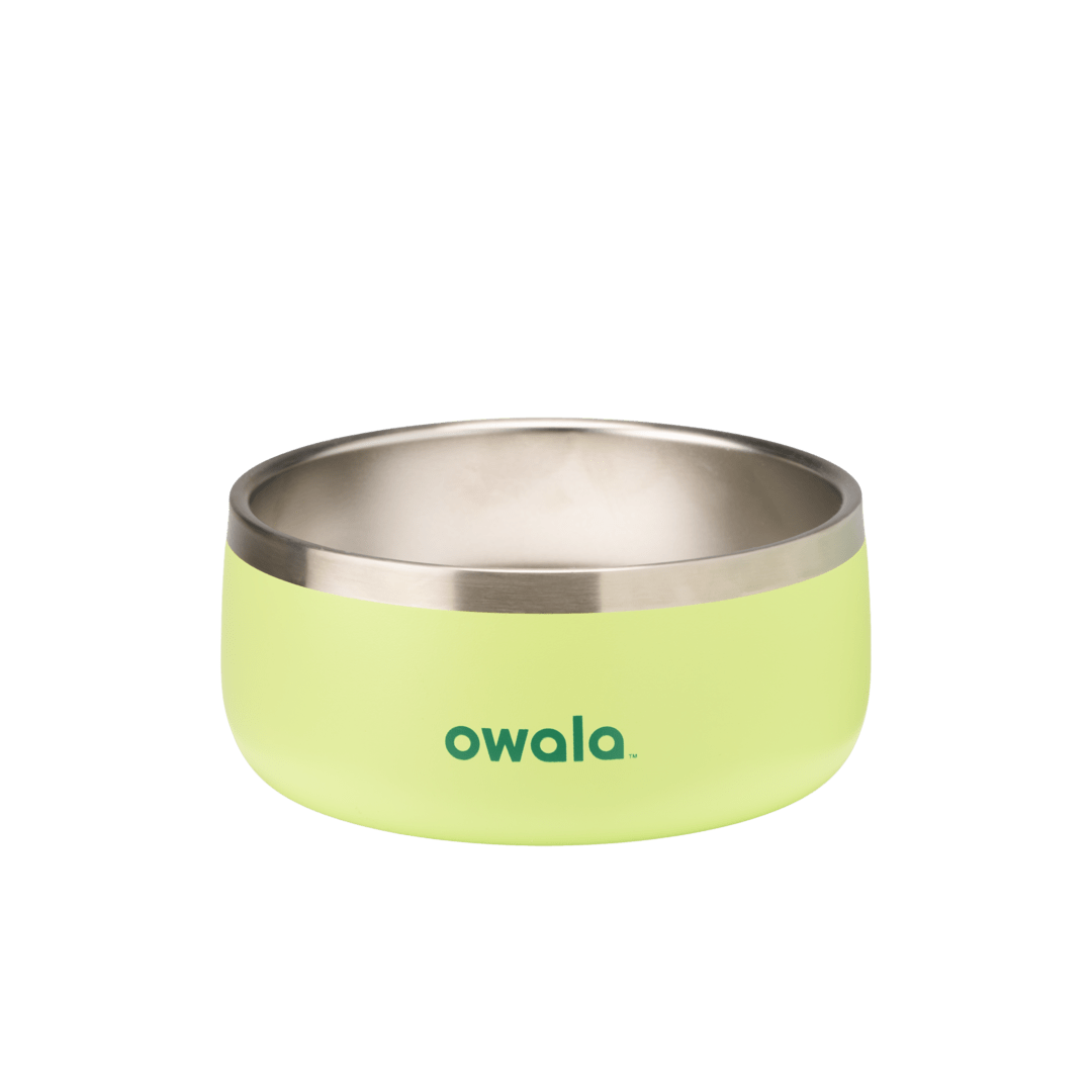 Pet Bowl | Modern Pick