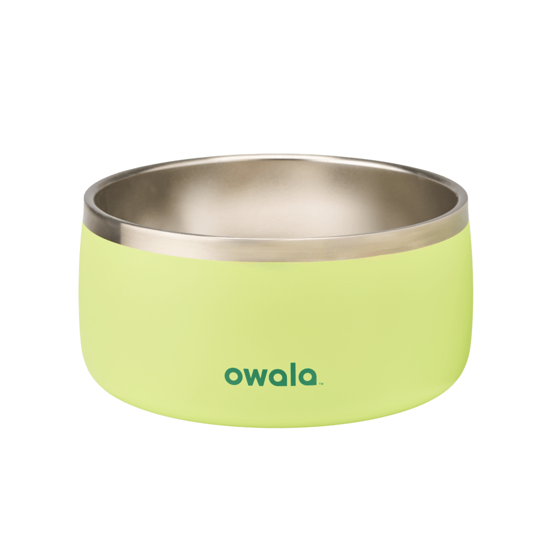 Pet Bowl | Modern Pick