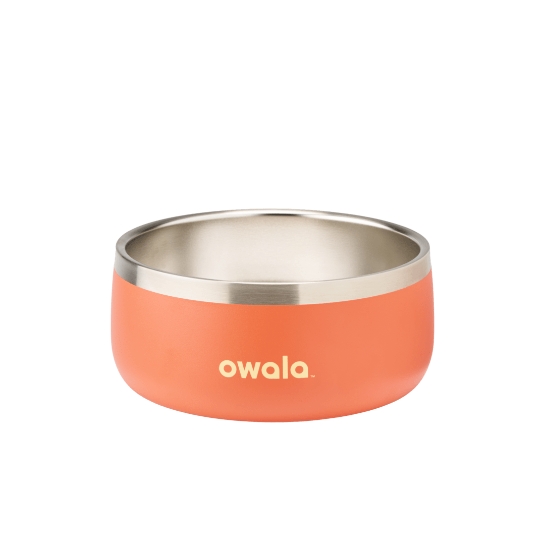 Pet Bowl | Modern Pick