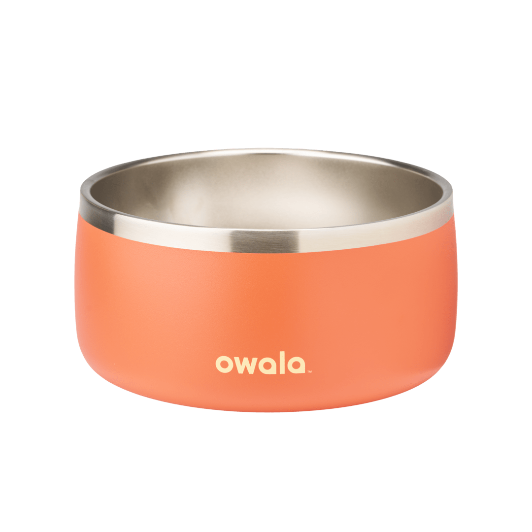 Pet Bowl | Modern Pick