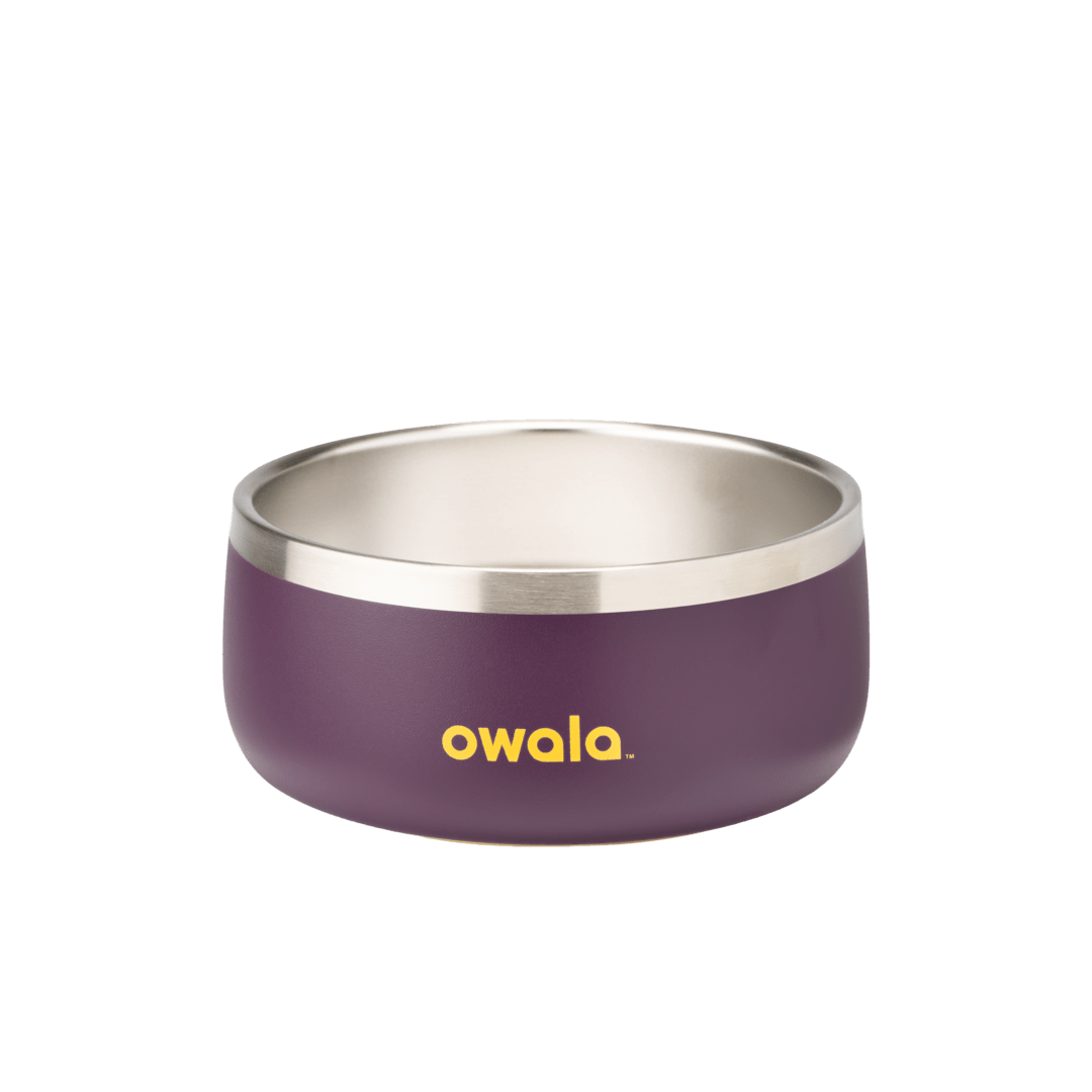 Pet Bowl | Modern Pick