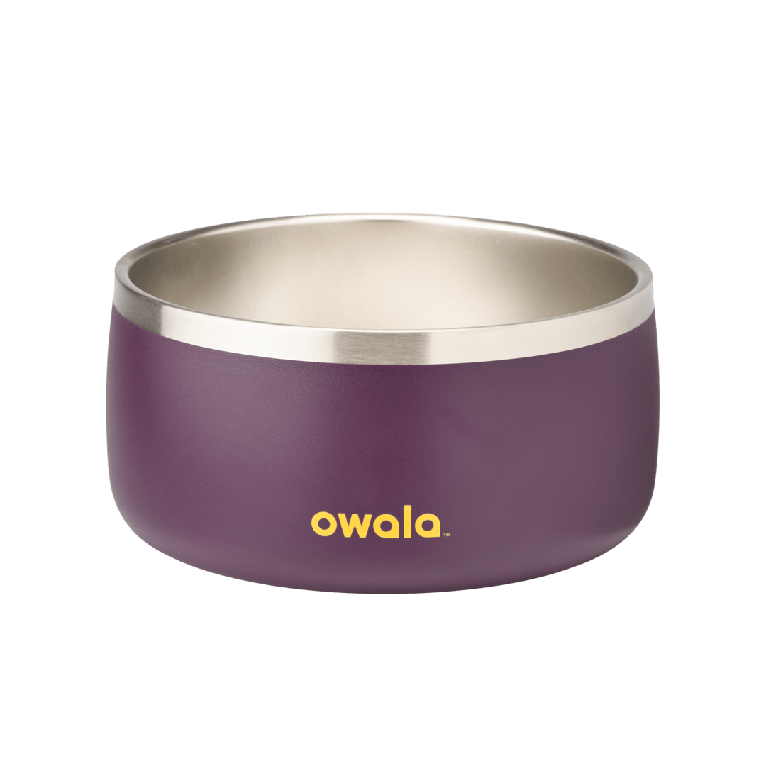 Pet Bowl | Modern Pick