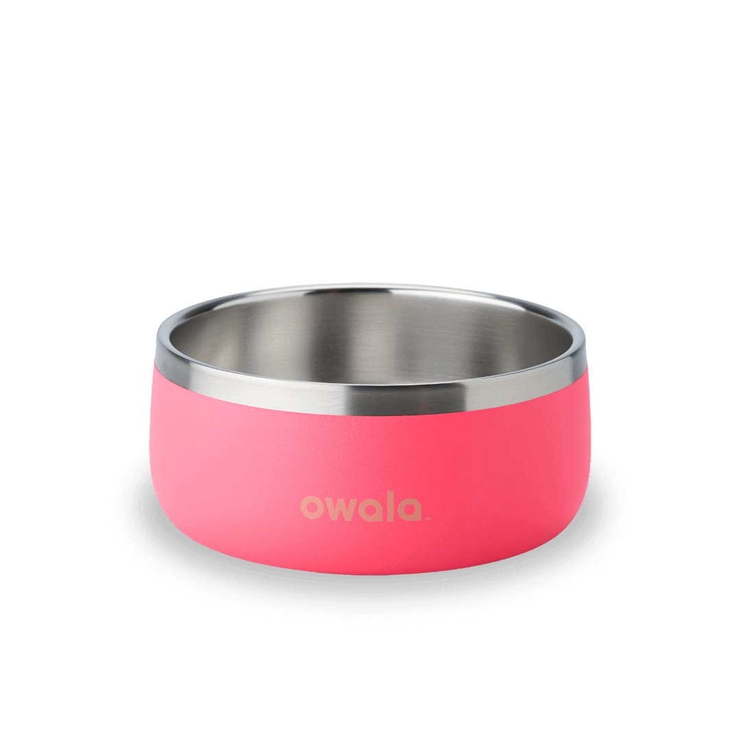 Pet Bowl | Modern Pick