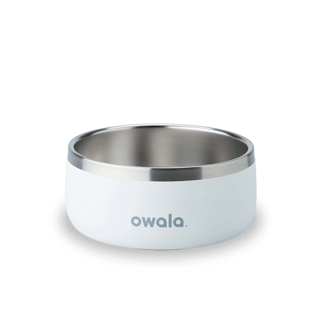 Pet Bowl | Modern Pick