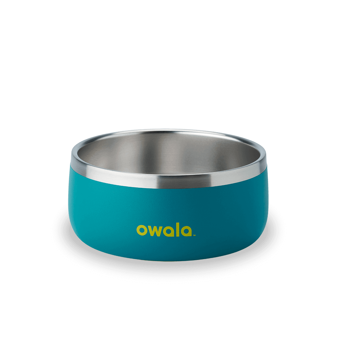 Pet Bowl | Modern Pick