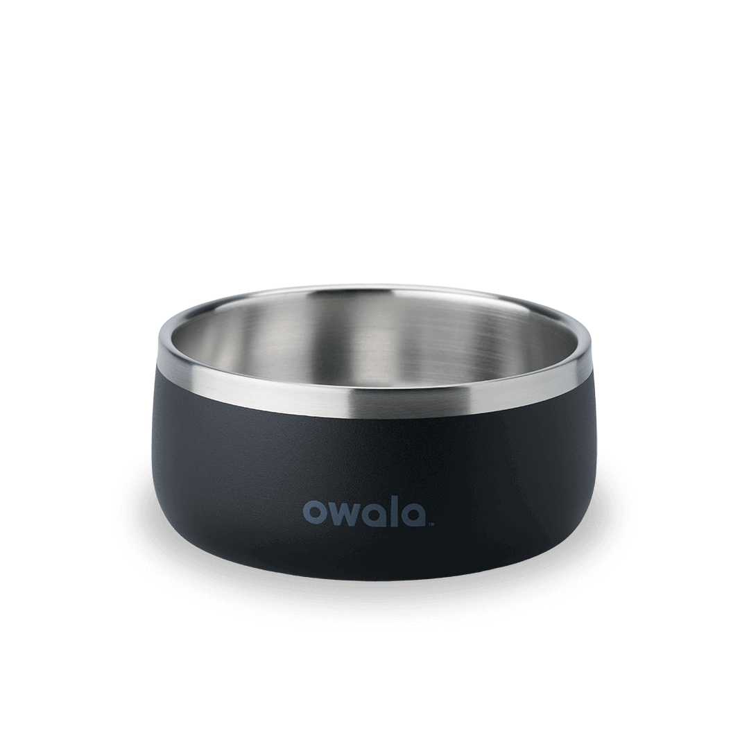 Pet Bowl | Modern Pick