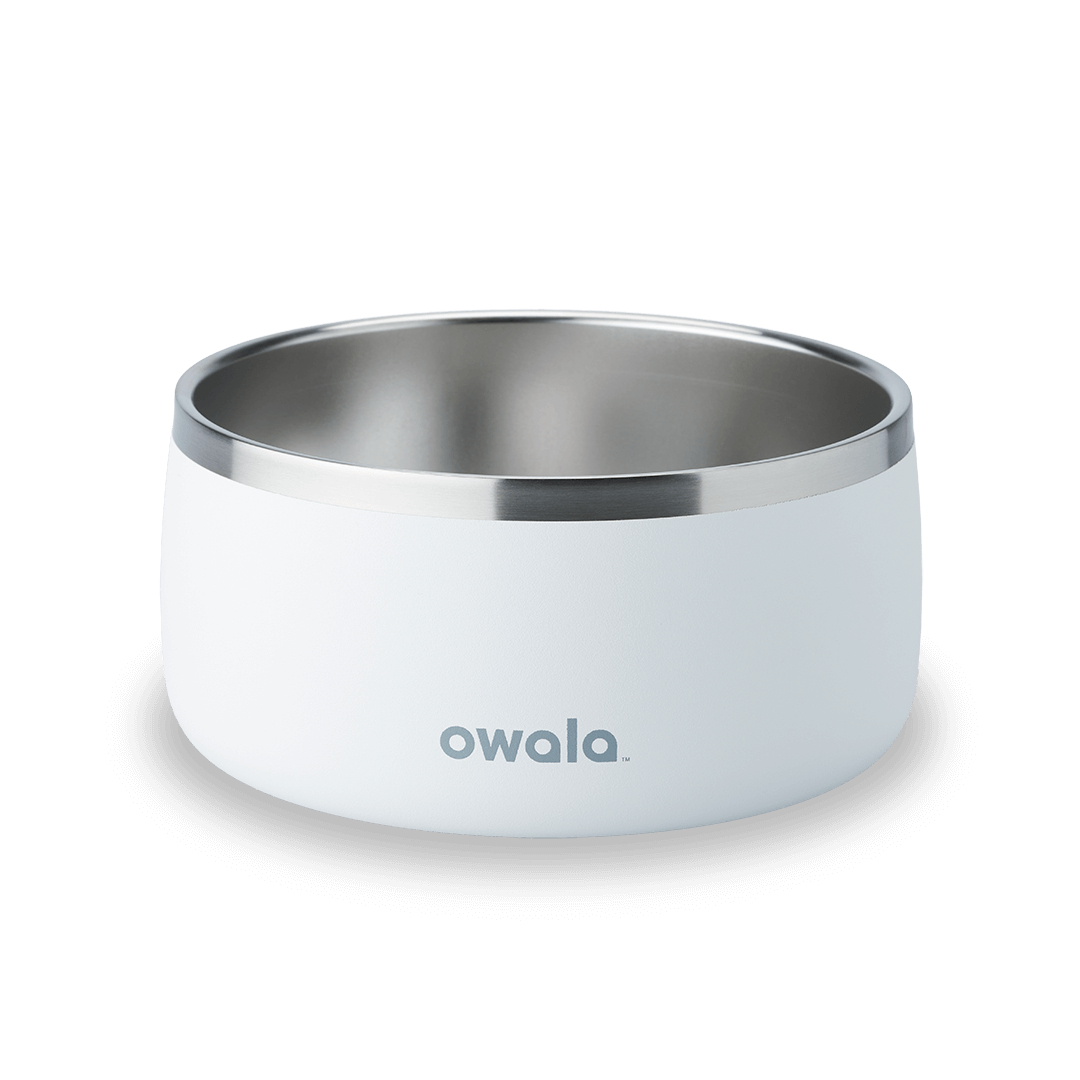 Pet Bowl | Modern Pick